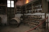 Bodega Bodega